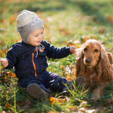 Kids Interacting With Dogs Safely