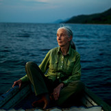 Jane Goodall Is Still Wild at Heart - by New York Time Magazine