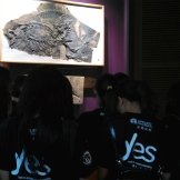 YES Café - Visit to Shanghai Nature Museum