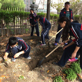 上海市建平世纪中学2015有机农场活动