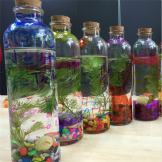 Organic Garden丨Bottles with Life