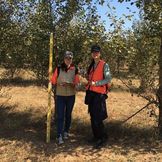 百万植树计划丨志愿者首次参与秋季林地调查