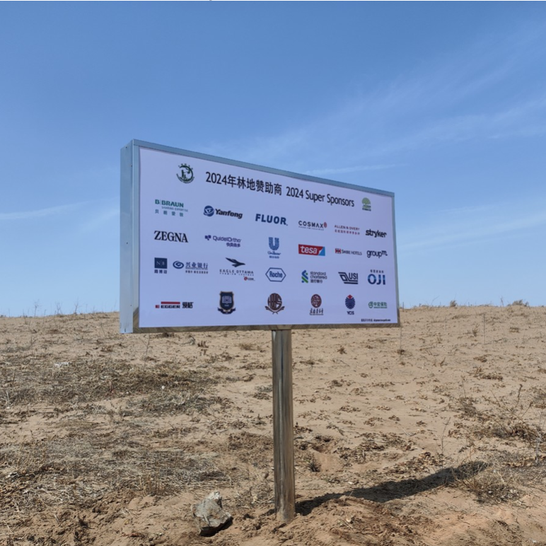  MTP Completed 2024 Forest Planting in Inner Mongolia