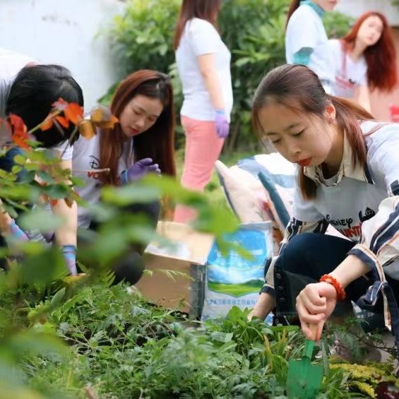Collaboration for the Earth: Adopt A School Organic Garden in Sanquan Road Primary School￼