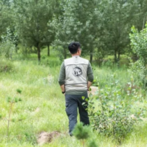 天津日报专访｜王凯： 青春岁月，植此青绿