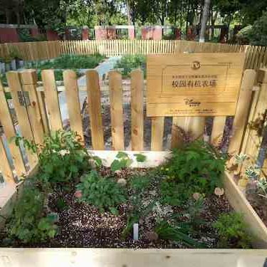 Plant for the Planet| Walt Disney Adopted the School Organic Garden of South Dong Chang Middle School attached to East China Normal University