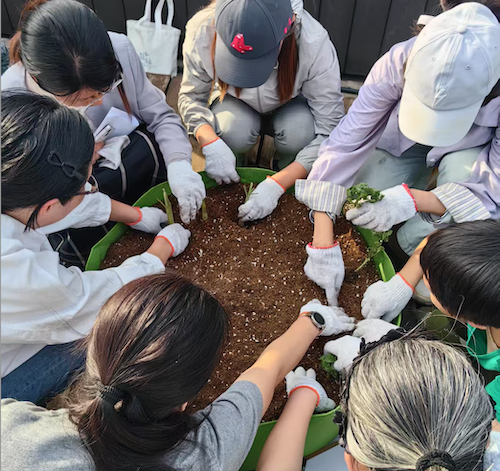 三场可持续工坊回顾|从有机种植到生物多样性